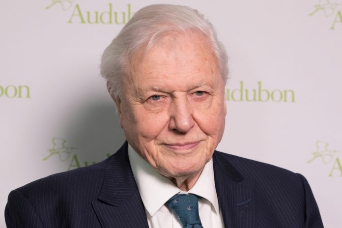 David-Attenborough