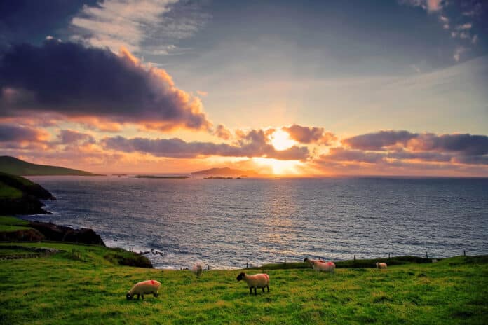 DREAM JOB ALERT: Great Blasket Island Caretaker Applications Go Live This Week